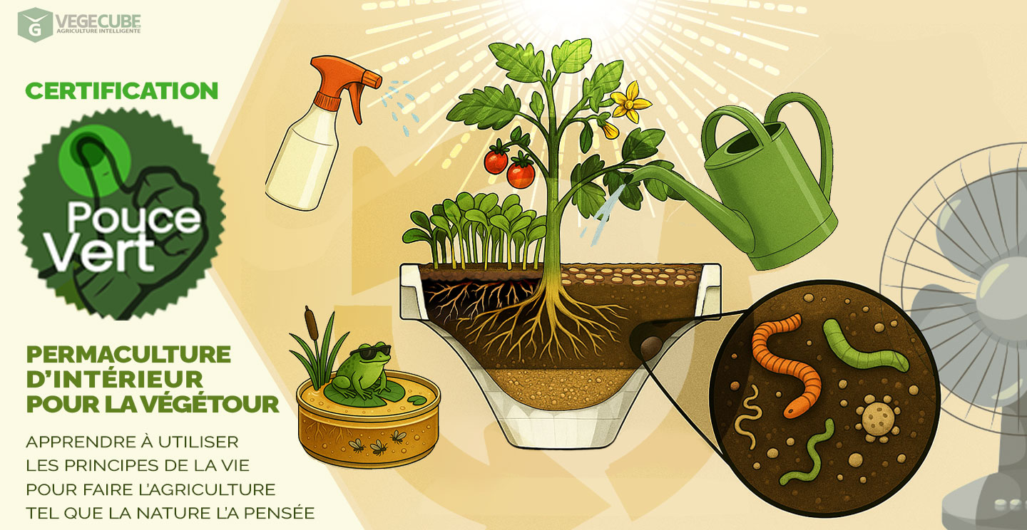 formation permaculture intérieure avec la Végétour
